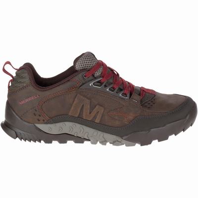 Merrell Annex Trak Low Vandringsskor Herr Bruna (SE097841)